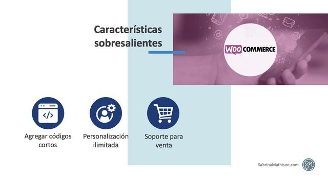 Mejores plugins para e-commerce de WordPress | WooCommerce смотреть онлайн
