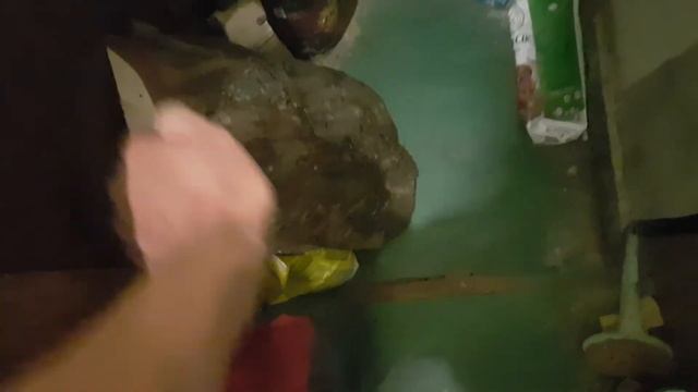 Новая когтеточка для кошки Мурки. Бесплатная когтеточка из СОСНЫ смотреть онлайн