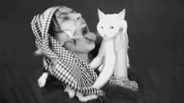 Клава Кися - (Kate Clapp) - Все танцуют с котами смотреть онлайн