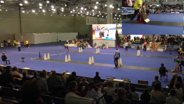 Флайбол. "Россия - 2015" (Чемпионат РКФ). смотреть онлайн