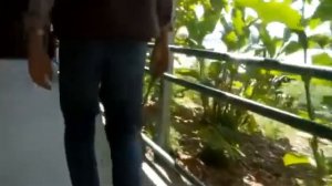 Городская пермакультура