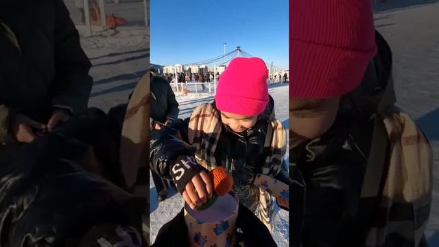 Подарил кактус ручной работы