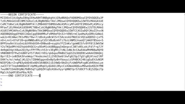ssl adding server public certificate to client keystore смотреть онлайн