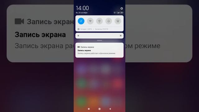 Как можно записать экран с звук берш предложение очень простой способ смотреть онлайн