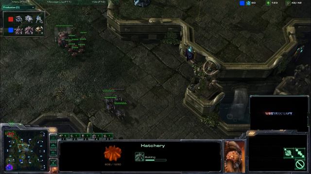 HD Starcraft 2 IdrA v Masq g1 p1/1 смотреть онлайн