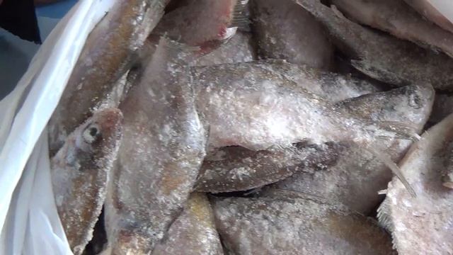 прогулки по кокшетау рыбалка за 2.5 часа смотреть онлайн