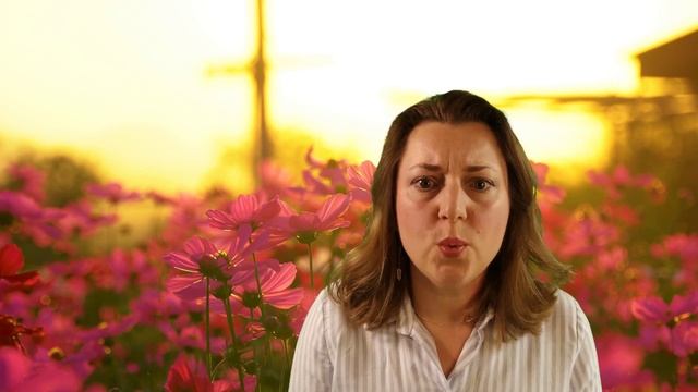 9 Facts and Myths about BURNOUT смотреть онлайн