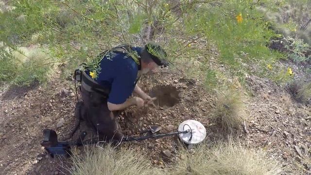 Digging 19g Nugget with a GPX4500 смотреть онлайн