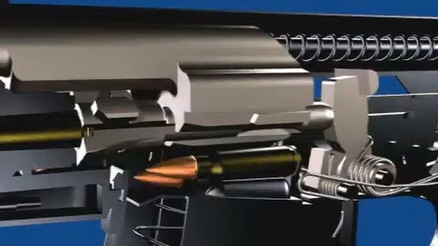 ЗОЖ-тренировки: здоровье и красота