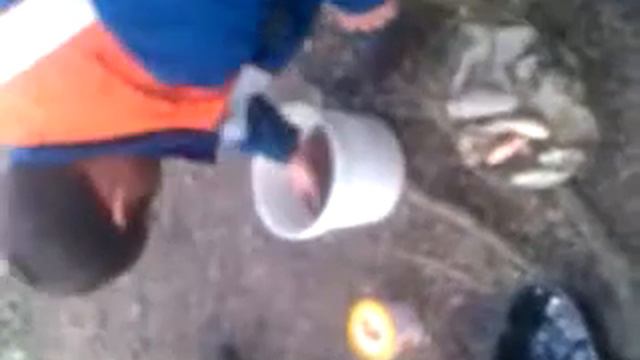 Рыбалка удалась смотреть онлайн