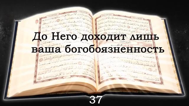 22 сура Хаджж Паломничество , коран на русском языке читает Мишари Рашид алафаси смотреть онлайн
