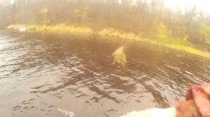 Ловля щуки на джерки на средней реке