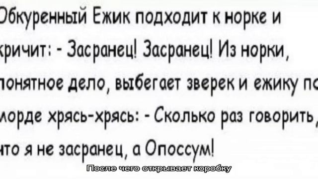 Сообщение на тему еж доклад смотреть онлайн