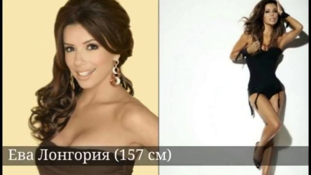 20 звезд,рост которых ниже, чем вы думаете смотреть онлайн