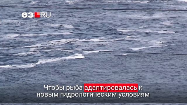 На Жигулевской ГЭС открыли водосливную плотину смотреть онлайн