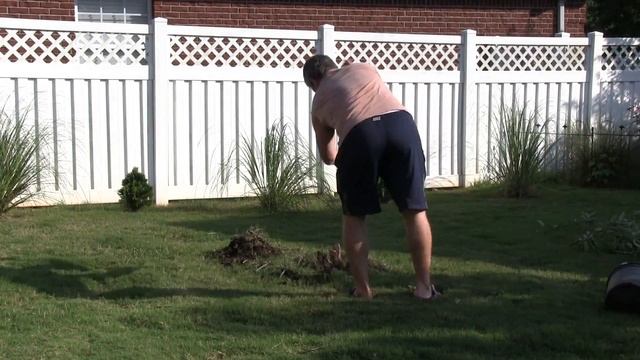 Planting Red Delicious Apple Tree смотреть онлайн