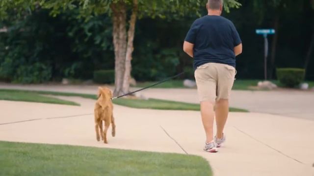 Weight Loss Success Story: Eric смотреть онлайн