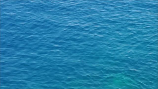 Star Autopsy смотреть онлайн