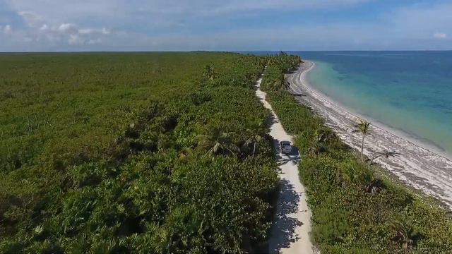 Природа.Животные.Спокойное видео смотреть онлайн