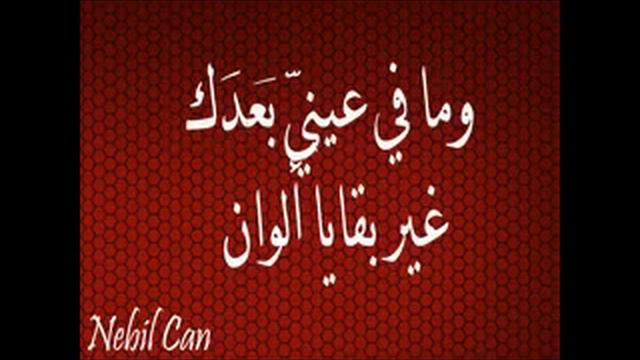 دعيني احبك كما اشاء الان - نبيل القوشجي смотреть онлайн