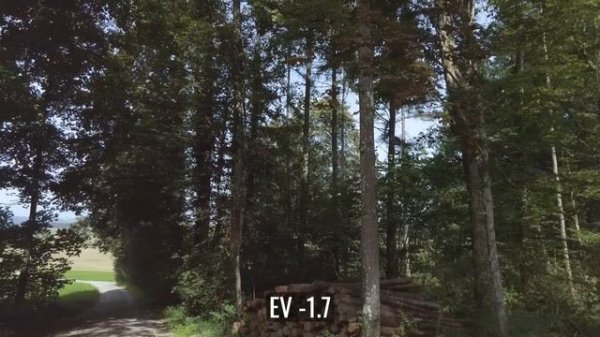 Master Your DJI Pocket 2 - Epic Tutorial Instructions Creator Combo