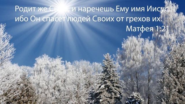 Родился ныне в городе Давида. Песня на Рождество Христово Christmas Song смотреть онлайн