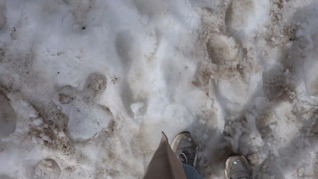 Великолепный Домбай/Канатная дорога смотреть онлайн