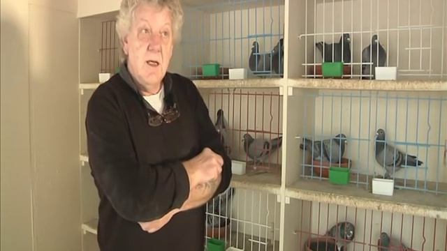 FRANK BRISTOW смотреть онлайн