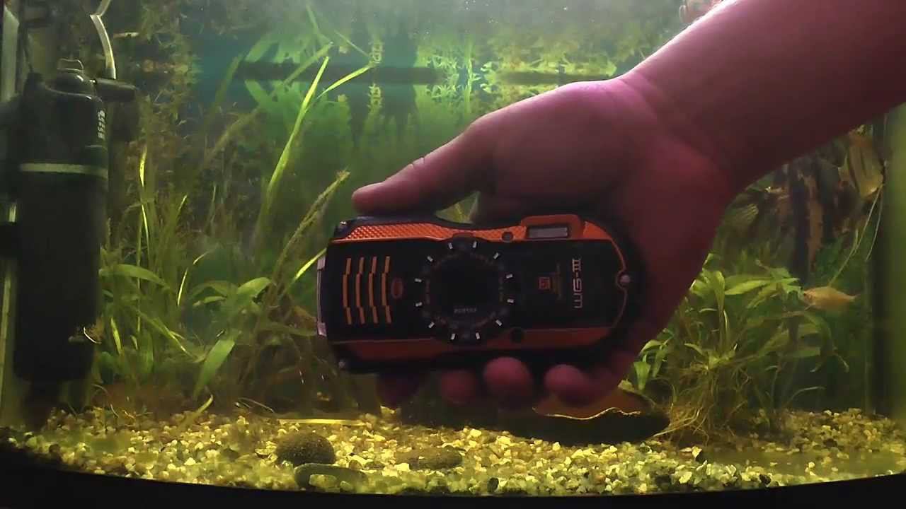 Pentax WG-3 Test in Aquarium смотреть онлайн