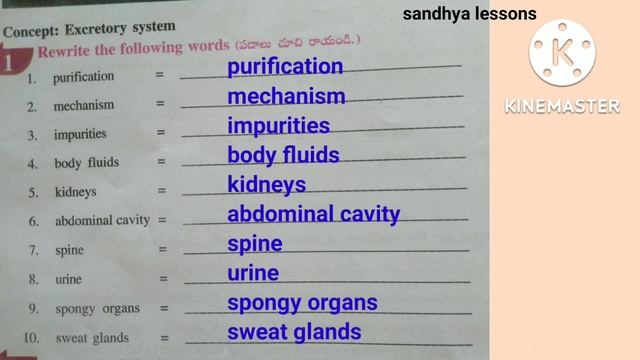 class-5#EVS#Lesson-4#semester-1#4.Know our organ system#All worksheets#Assessment смотреть онлайн