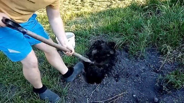 Жизнь в деревне. Пополнение в хозяйстве смотреть онлайн
