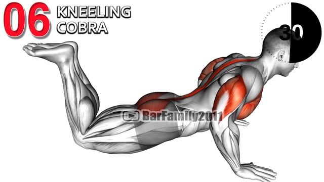 Increase Testosterone Levels to Boost Libido смотреть онлайн