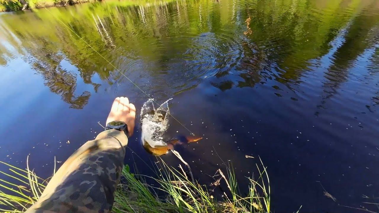 ТАЁЖНАЯ РЕКА РЫБАЛКА НА СПИННИНГ. ЛОВИМ ЩУК НА РАЗНЫЕ ПРИМАНКИ. ХОДОВАЯ РЫБАЛКА В ДИКОЙ ТАЙГЕ смотреть онлайн