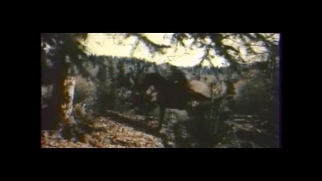 Поговорим, брат 1978 Погоня казаков за красным партизаном смотреть онлайн