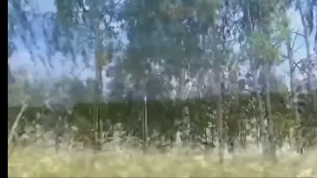 Песня "Русское поле" Владимир Ивашов смотреть онлайн