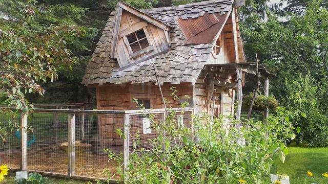 #46 Прогулка у озера в Кеджвике, ботанический сад в Эдмундстоне, бесплатный сплав на каноэ смотреть онлайн