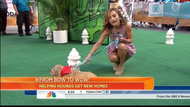 Giada De Laurentiis & Natalie Morales 9-5-2013 смотреть онлайн