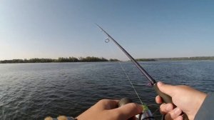 Рыбалка в Саратове.  Трофейный судак или имитация леща.