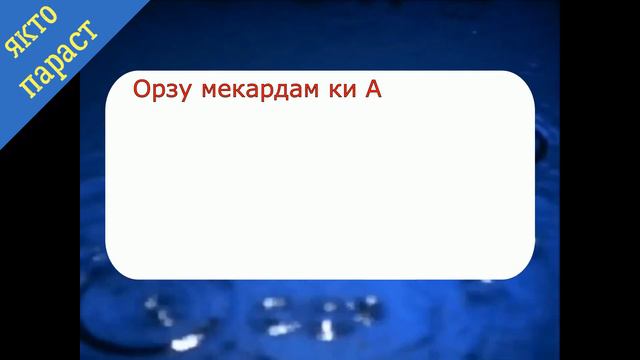 Хадис аз Абдуллах رضي الله عنه ривоят шудааст устод Абду Зохири дои смотреть онлайн