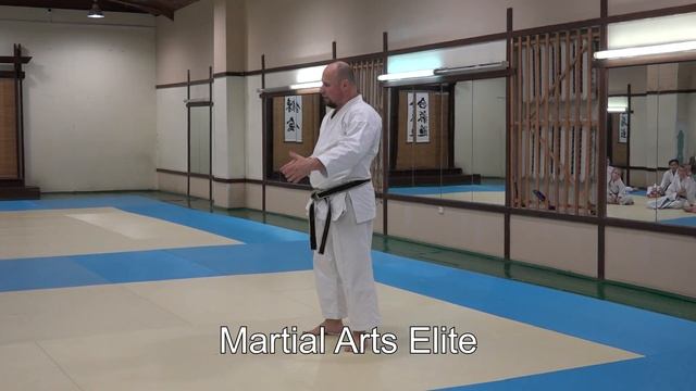 Seminar 42: Aleksey Grosman karate shotokan 6 dan (kata) смотреть онлайн