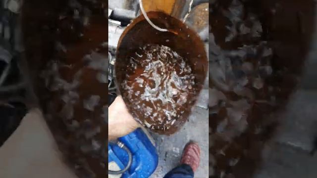 Двигатель на продажу, Вольво 440 1.9, Tdi, D19t, F8q