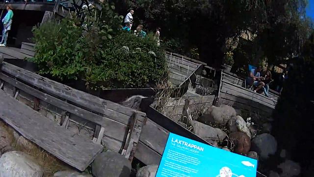 Водопад в кафе http://vermitechnologii.ru/ вход на мусор 17.07.2016. 1 смотреть онлайн