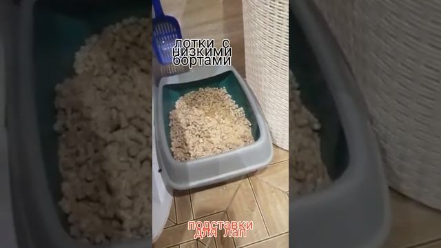 Туалетный вопрос. Часть 1. Поговорим о лотках. смотреть онлайн