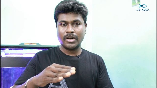 Do you really need skimmer | Tamil | SK Aqua | SK Aquatic | смотреть онлайн