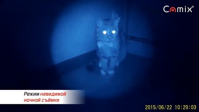 Мини камера Camix MD98 - VashaCamera.KZ