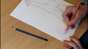 Животные из простых форм