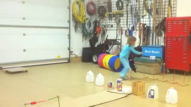 Monty Agility at 15 Weeks смотреть онлайн