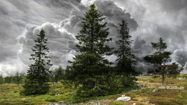 Медитация!Сила ЗЕМЛИ!Целостность и Равновесие Духа!Music relax mind body!Zen Music!Гармонизация!Дзэ смотреть онлайн