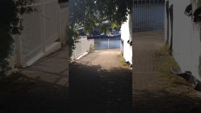 Влог (Сочи) смотреть онлайн